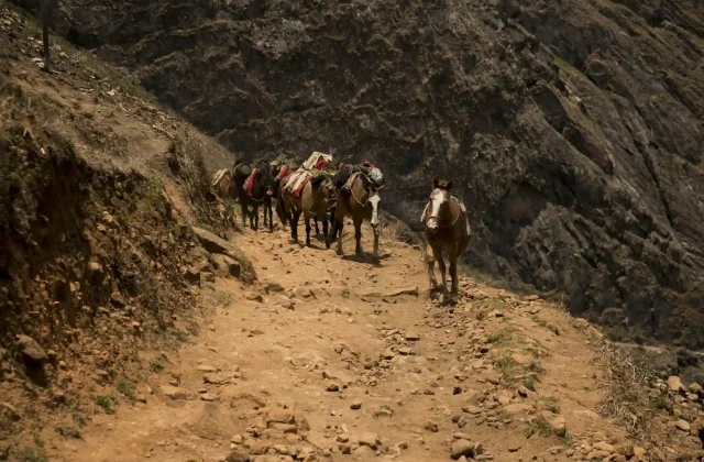 hike-through-apurimac-canyon-ruins-choquequirao-inca-archaeological-site-peru (13)