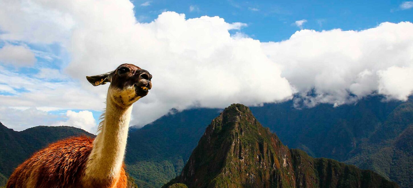 INCA TRAIL 4 DAYS TO MACHU PICCHU ALL-INCLUSIVE TOUR