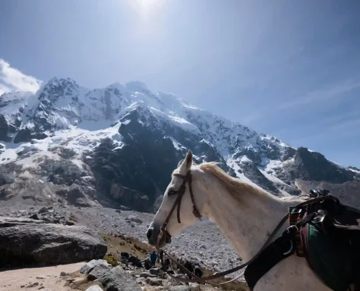 Salkantay Pass Trek And Humantay Lake 2D – 1N