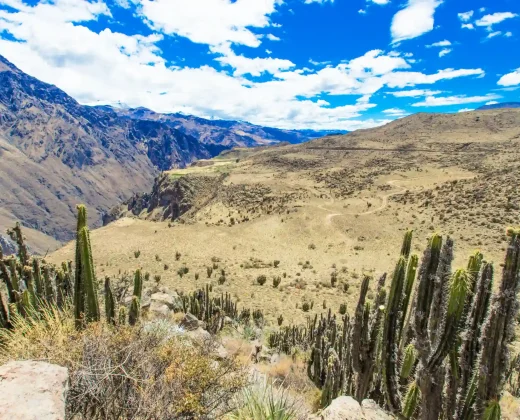 Colca Canyon Full Day Tour