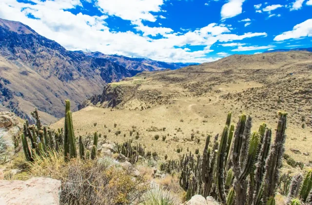 Colca Canyon Tour