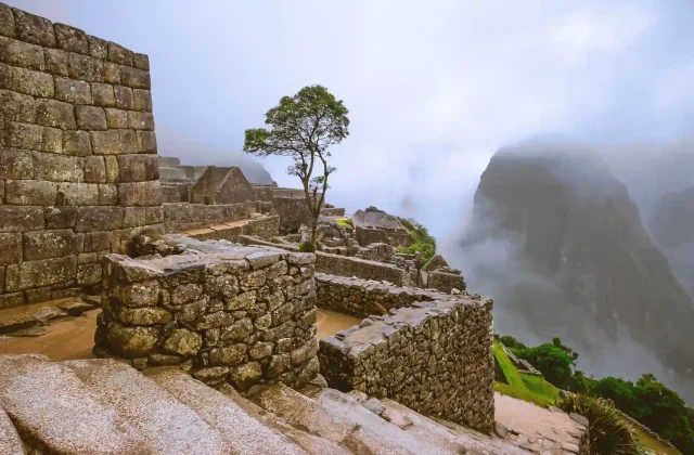 amazing-view-majestic-machupicchu-temple-landscape-covered-with-fog-background(1)